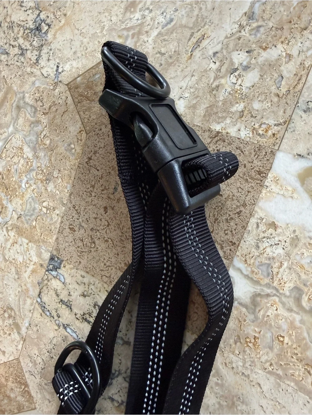 Hands free dog leash